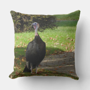 Almofada Kevin The Turkey - Old Wethersfield, CT