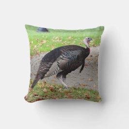 Almofada Kevin The Turkey - Old Wethersfield , CT (2 lados)