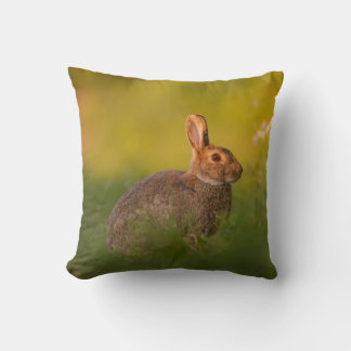 Almofada Kissen mit Kaninchen im Abendlicht