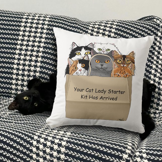 Almofada Kit de Iniciação de Lady Cat (Criador carregado)