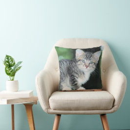 Almofada Kitten