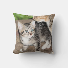 Almofada Kitten