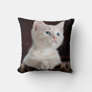 Almofada Kitten Branco Vulnerável