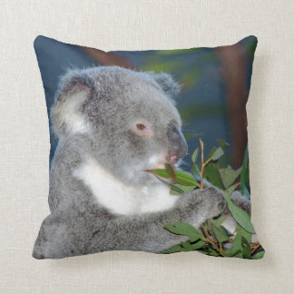 Almofada Koala