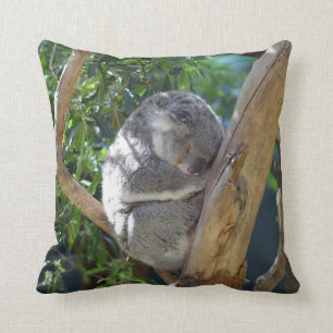Almofada Koala sonolento