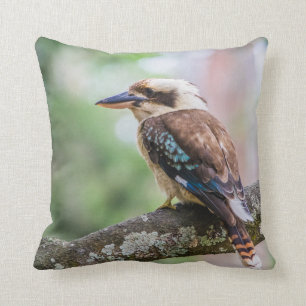 Almofada Kookaburra no galho