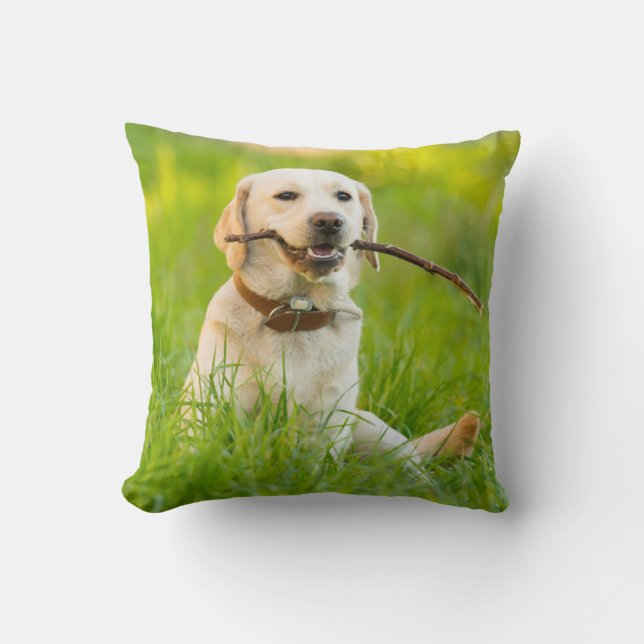 Almofada Labrador Amarelo Reproduz Feixe (Frente)