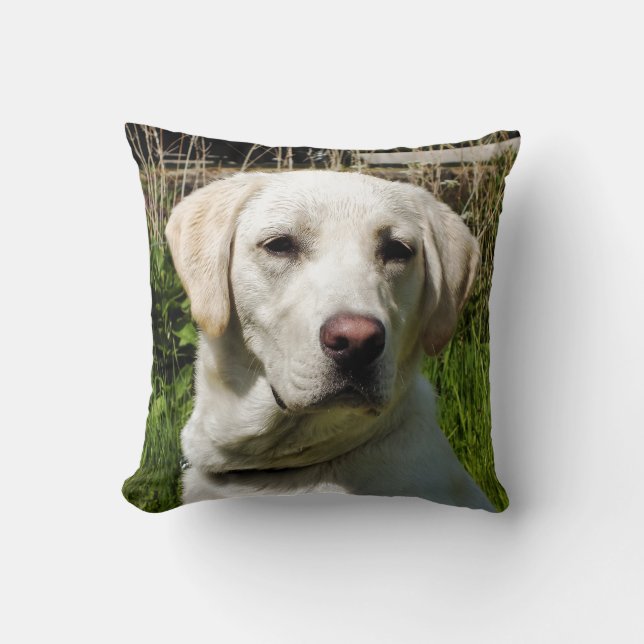 ALMOFADA LABRADOR DOG (Frente)