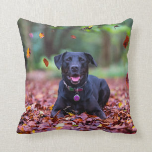 Almofada Labrador Negro Em Folhas De outono