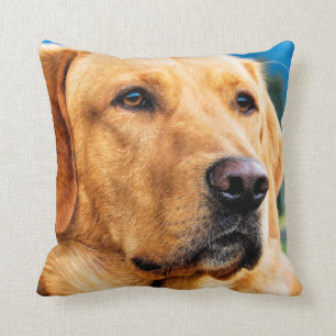 Almofada Labrador retriever dourado