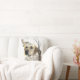 Almofada Labrador, tripa impressa de tapeçaria de caça de p (Couch)