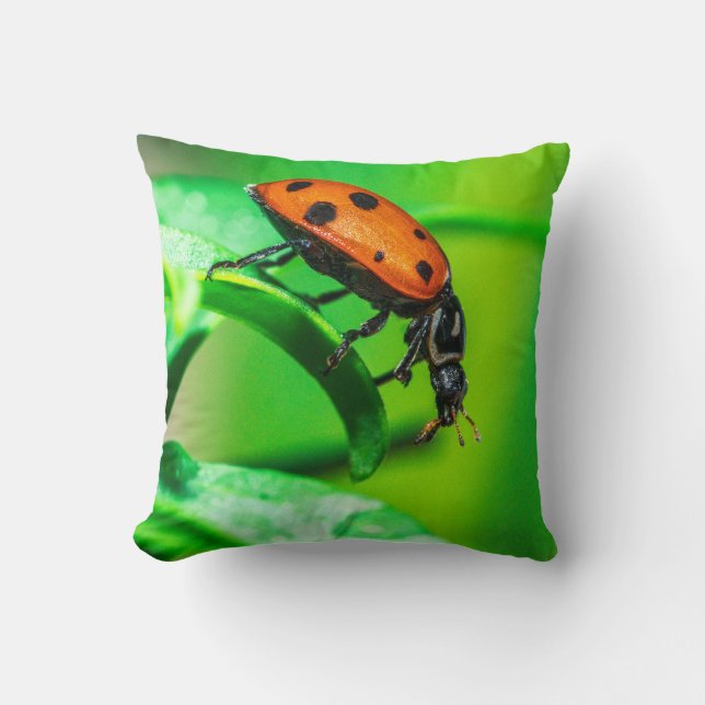 Almofada Ladybug Macro Throw Pillow Nature-Inspired Decor (Frente)