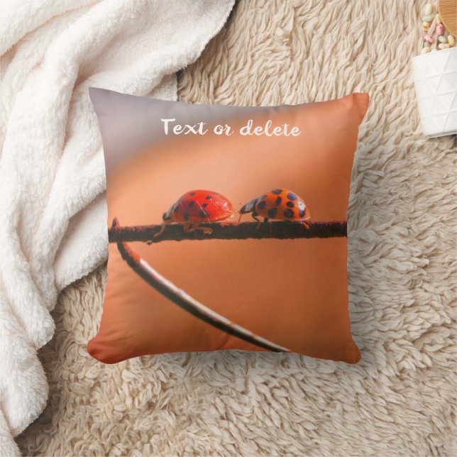 Almofada Ladybugs Siga O Líder Personalizado  (Cobertor)