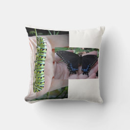 Almofada Lagarta-do-mato-preto