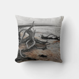 Almofada Lago Tyrrell Natural Forces