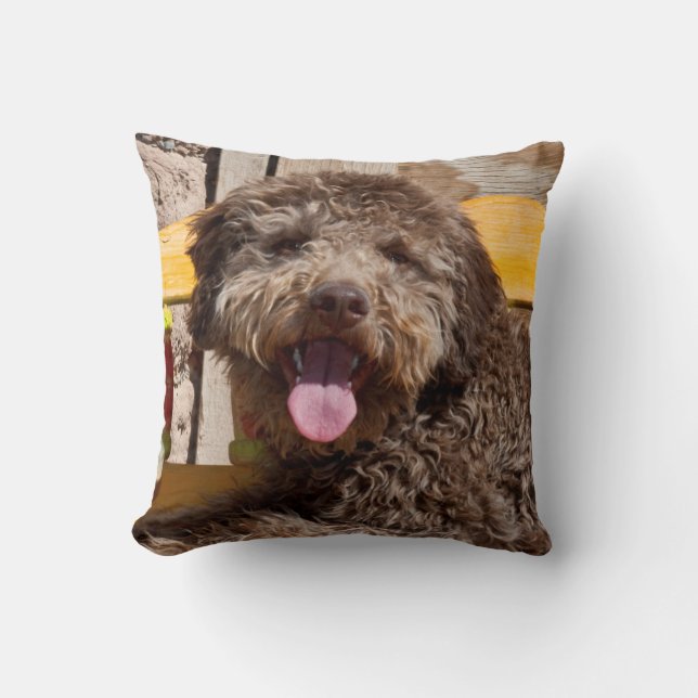 Almofada Lagotto Romagnolo Deitado Em Uma Bancada De Madeir (Frente)