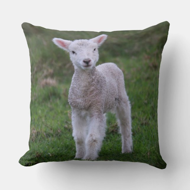 Almofada Lamb Baby Shea Fazenda Animal (Frente)