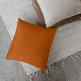 Almofada Laranja Queimada Estilo Moderno de Meados