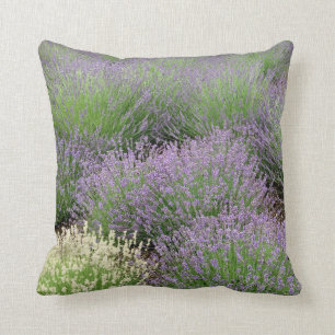 Almofada Lavanda bonita