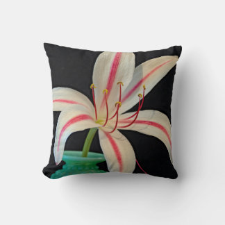 Almofada Leite Vinho Lily