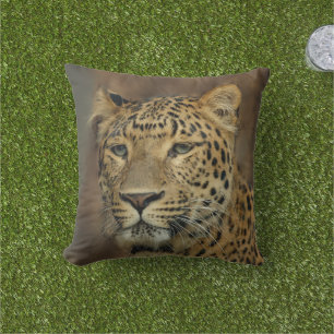 Almofada Leopard Lovers Wildlife