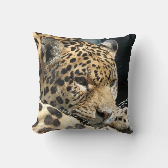 Almofada Leopardo 004 (Frente)