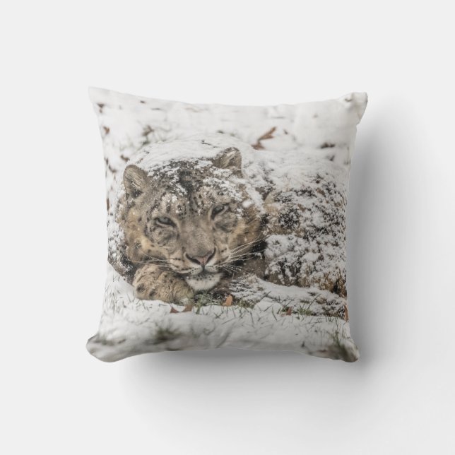 Almofada Leopardo de Neve Sonolento (Frente)