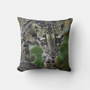 Almofada Leopardo nublado em movimento
