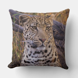 Almofada Leopardo sentado, Botsuana, África