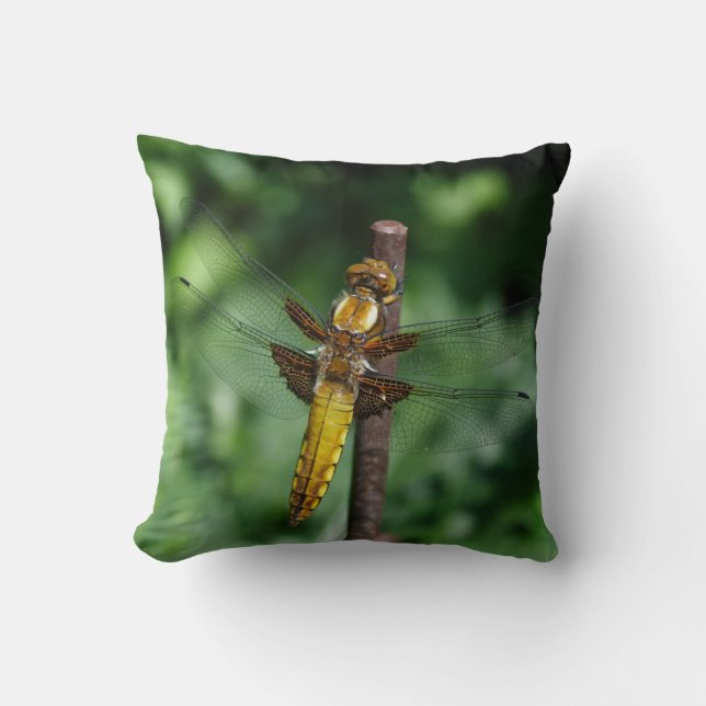 Almofada Libellula rápida (Frente)