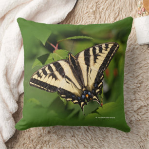 Almofada Linda borboleta-de-cauda-redonda ocidental