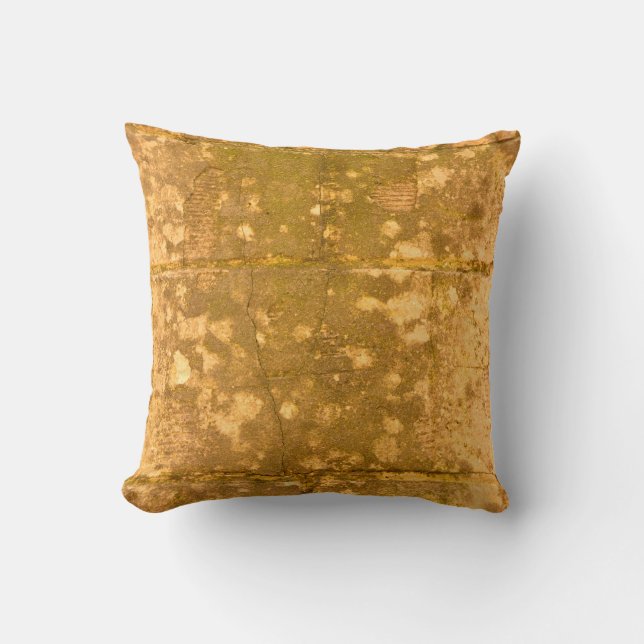 Almofada Linda experiência de vintage. deco abstrato grunge (Frente)