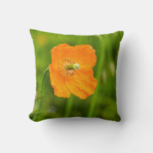 Linda Foto de Flor de Papoula Laranja Verão Verde