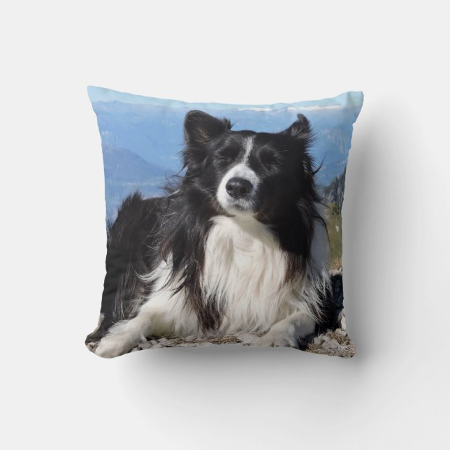 Almofada Linda fronteira Collie Cachorro preto (Frente)