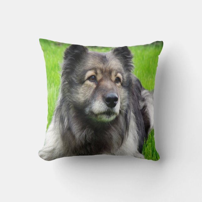 Almofada Linda Keeshond (Frente)