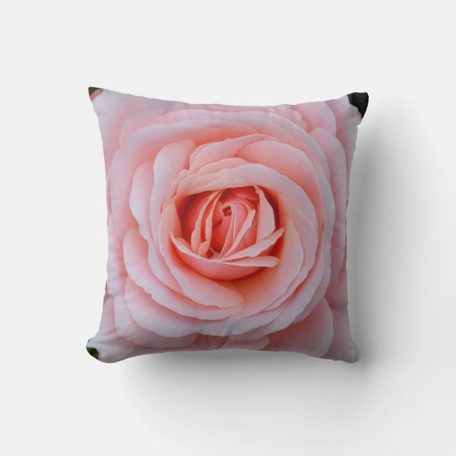 Almofada Linda rosa rosa rosa (Frente)