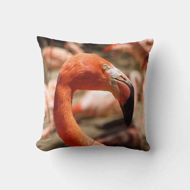Almofada Lindo Travesseiro de Flamingo! (Frente)