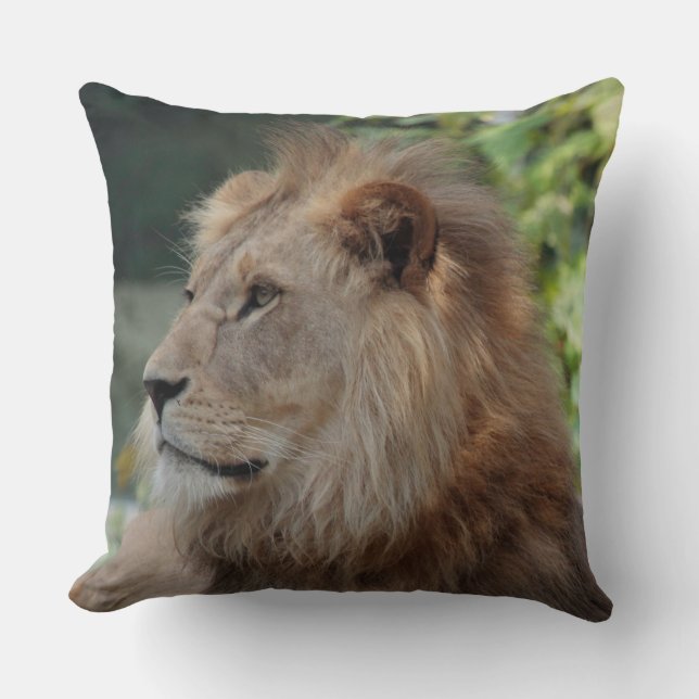 Almofada Lion 035 (Frente)