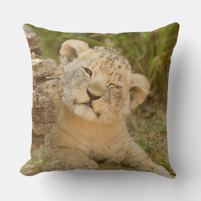 Almofada Lion Cub (Frente)