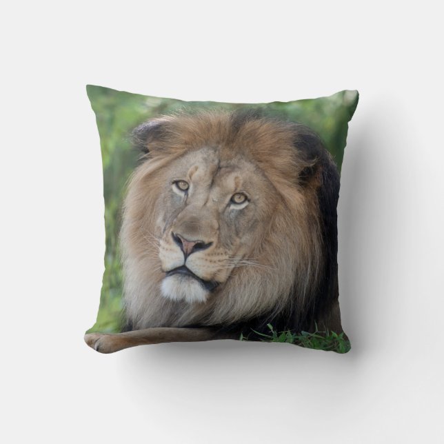 Almofada Lion Lounging em uma Floresta (Frente)