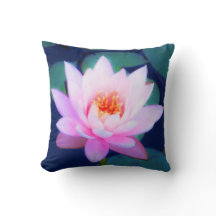 Lírio de água cor-de-rosa