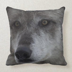 Almofada Lobo (lúpus de Canus) do nacional de Yellowstone
