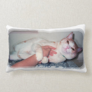 Almofada Lombar 可愛い猫["You can hold me often" a cat 'kawaii']