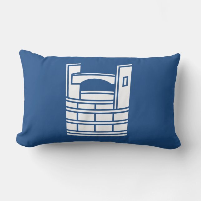 ALMOFADA LOMBAR 手桶 (Frente)