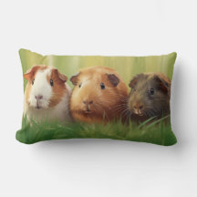 3 Suínos guineenses na grama