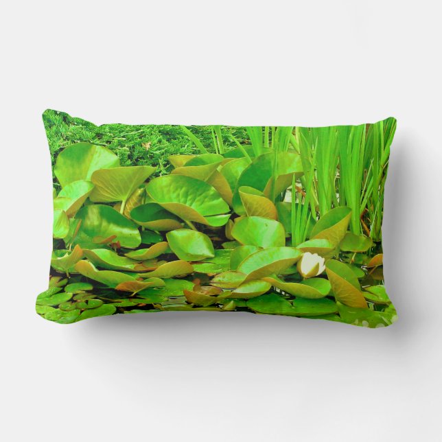 Almofada Lombar A cor do Travesseiro decorativo Verde (Frente)