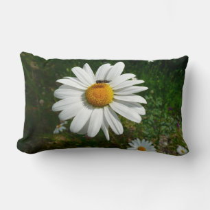 Almofada Lombar Abelha na Daisy Alaskan Summer Nature Photo