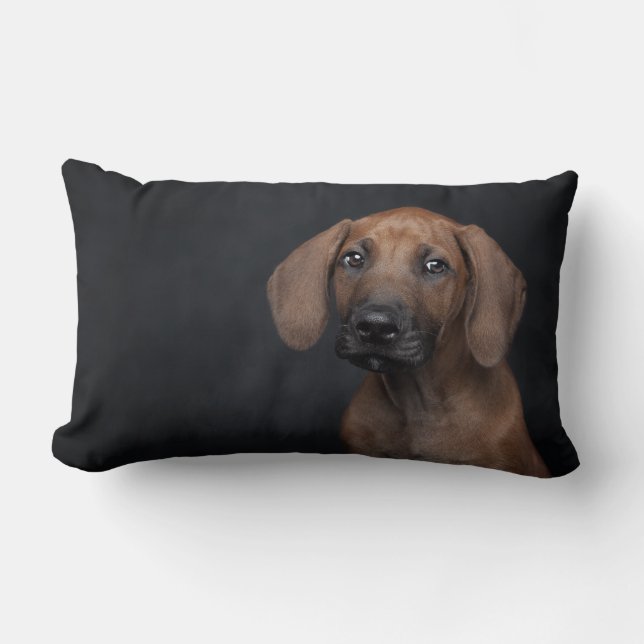 Almofada Lombar Adorável retrato de cachorro Rhodesian Ridgeback F (Frente)
