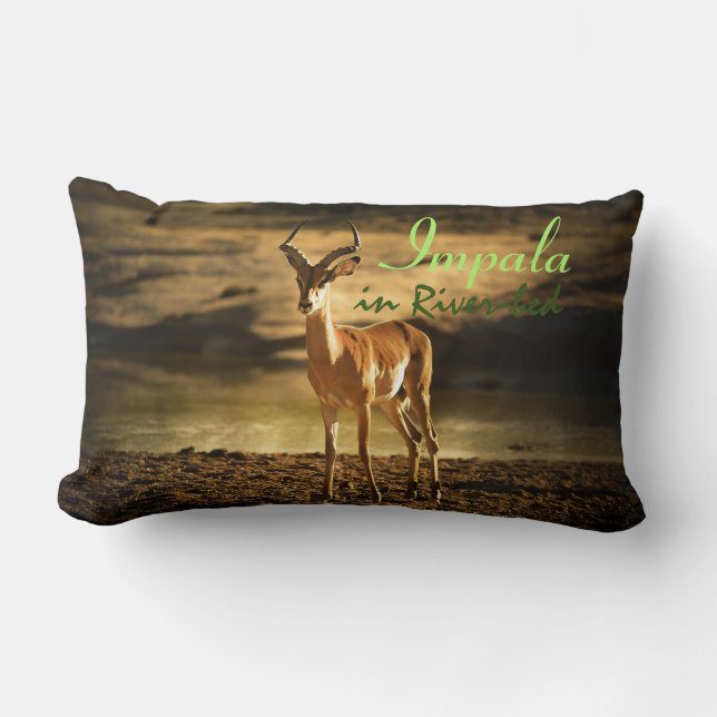 Almofada Lombar Afro do Impala da Vida Selvagem na orla (Frente)