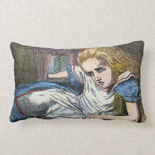 ALMOFADA LOMBAR ALICE NO PAÍS DE AS MARAVILHAS